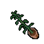 indoor plant kit