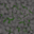Mossy Stone Floor