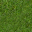Moss Grass Floor